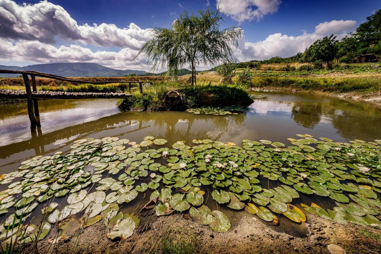 Agriturismo Biologico Autosufficienza Bagno di Romagna Ngoại thất bức ảnh