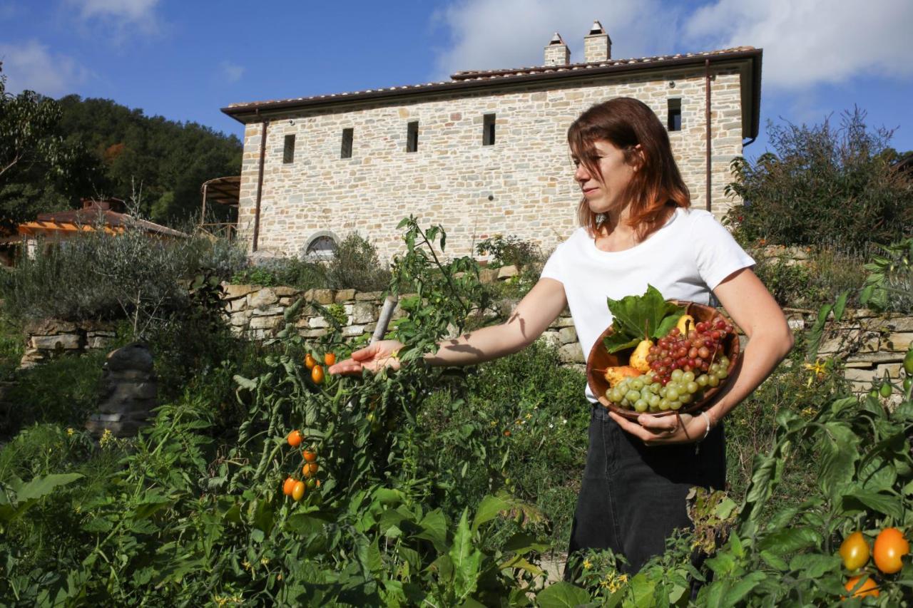 Agriturismo Biologico Autosufficienza Bagno di Romagna Ngoại thất bức ảnh